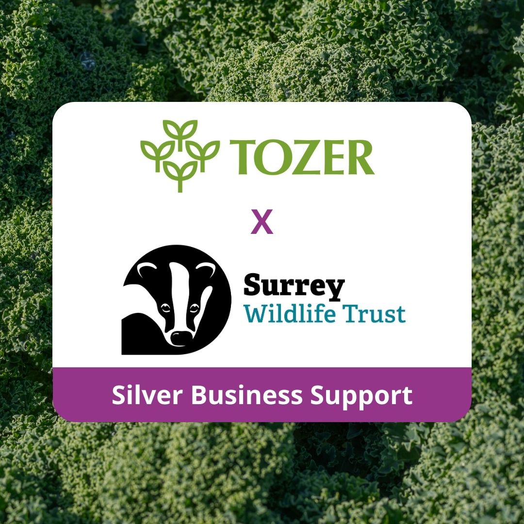 Tozer announces partnership with Surrey Wildlife Trust