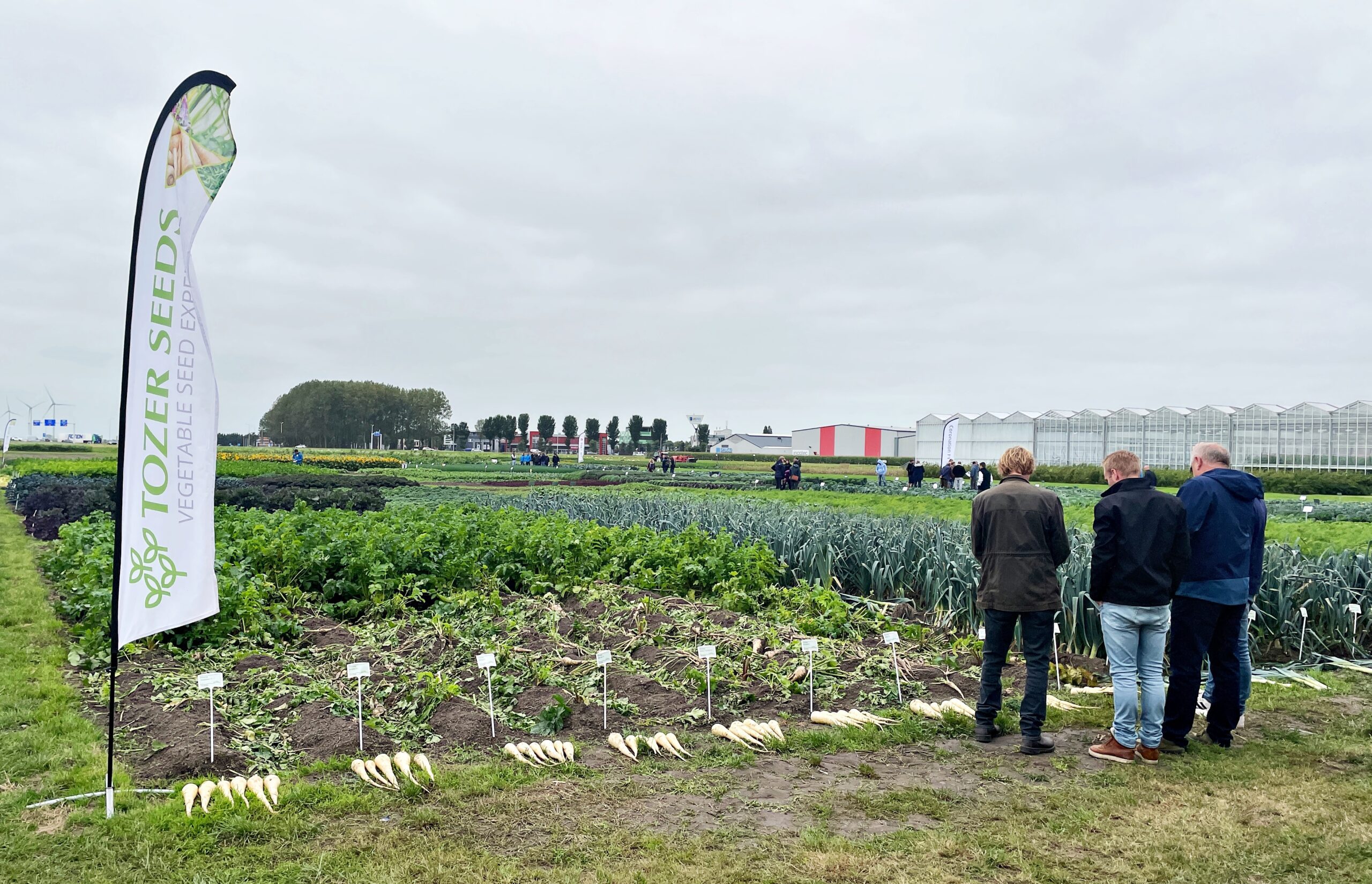 Tozer showcased wide range of vegetable seed innovations at Dutch Field Trials